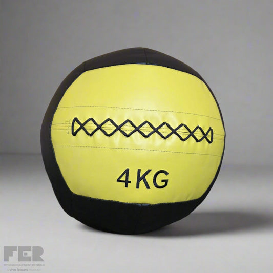 Premium Wall Balls 4kg Accessories